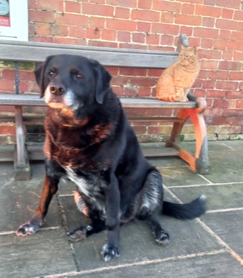 Mack at Broome Park Farm B&B