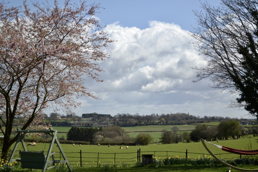 View from the drive