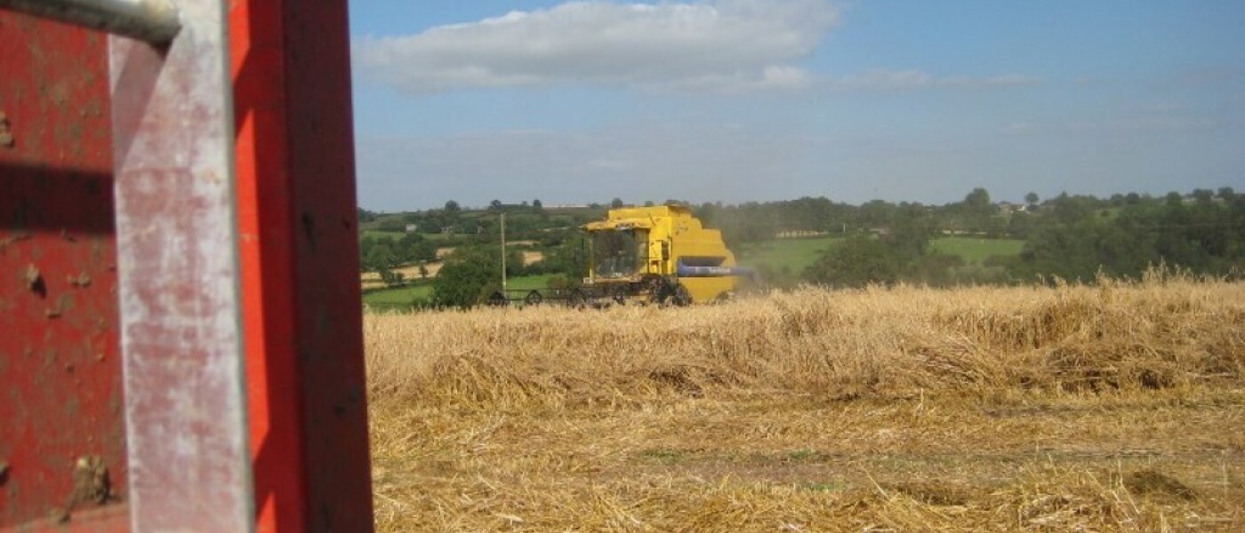 A Slow Harvest A Slow Harvest