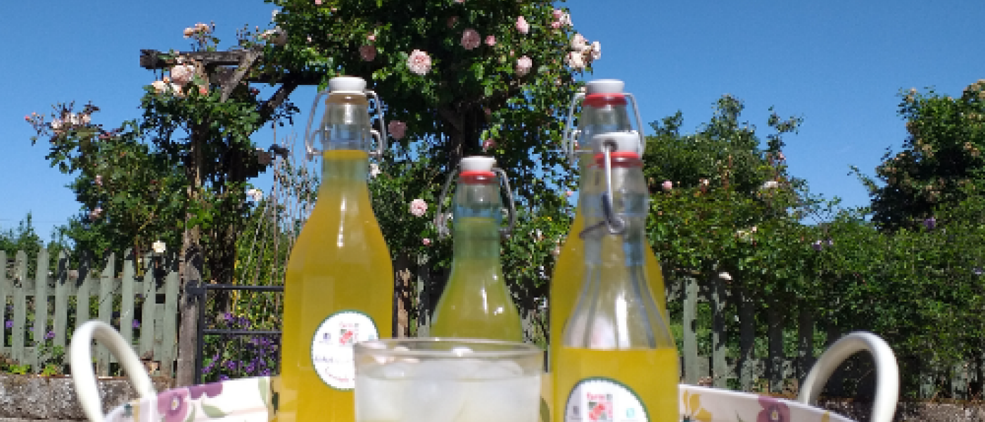 Elderflower Cordial Elderflower Cordial