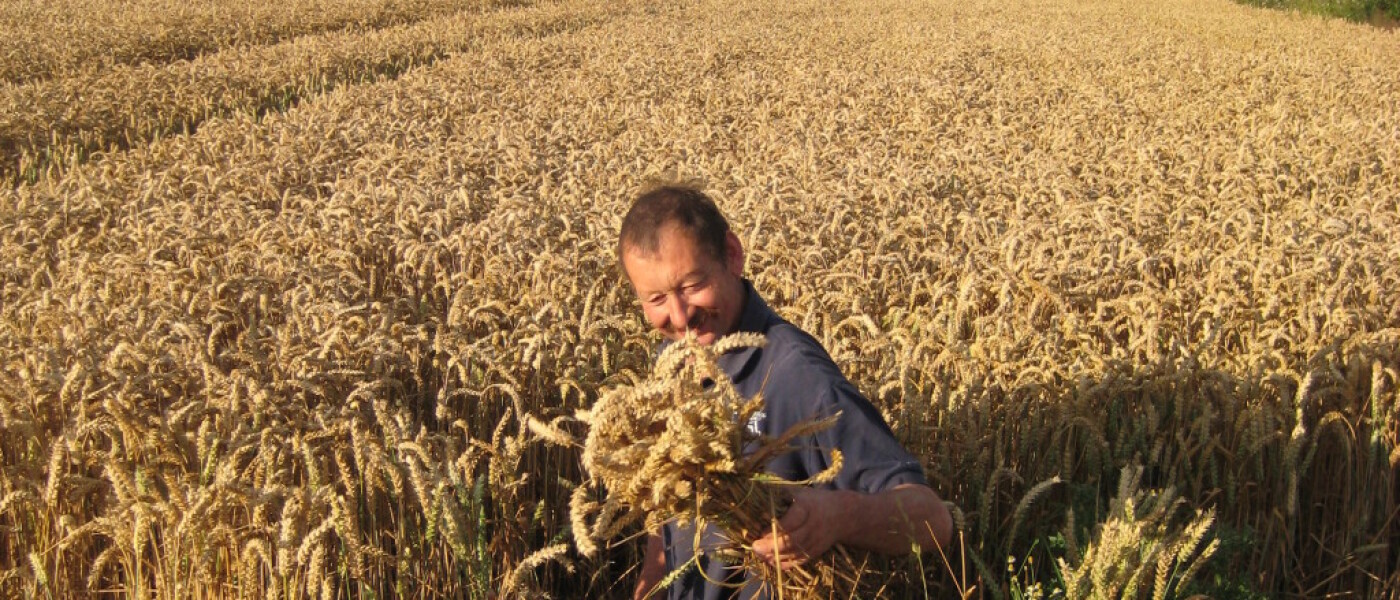 Gathering Sheaves Gathering Sheaves