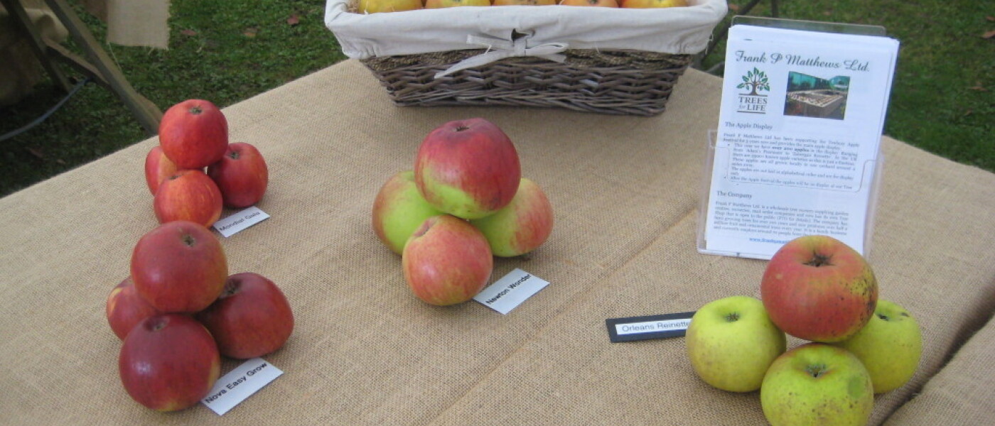 Tenbury Applefest Tenbury Applefest
