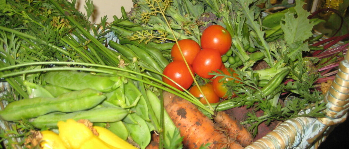 Vegetables from the Garden Vegetables from the Garden