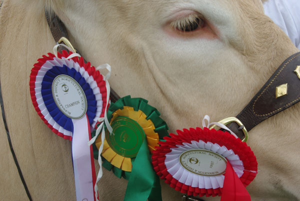Burwarton-Show.jpg